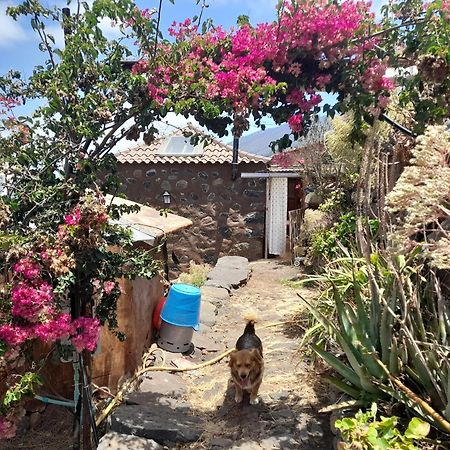 Abracaribes Bed & Breakfast Arecida Екстериор снимка