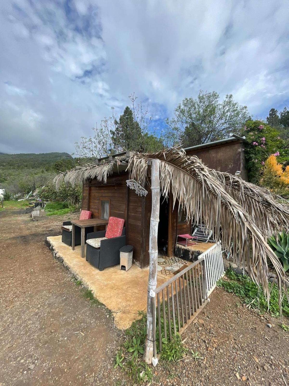 Abracaribes Bed & Breakfast Arecida Екстериор снимка