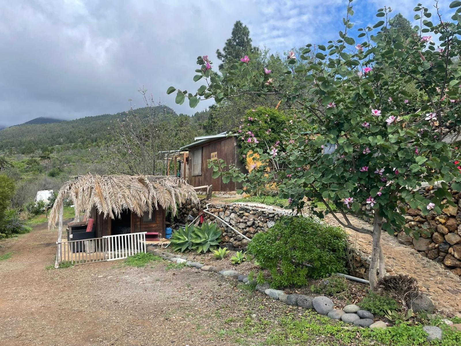 Abracaribes Bed & Breakfast Arecida Екстериор снимка