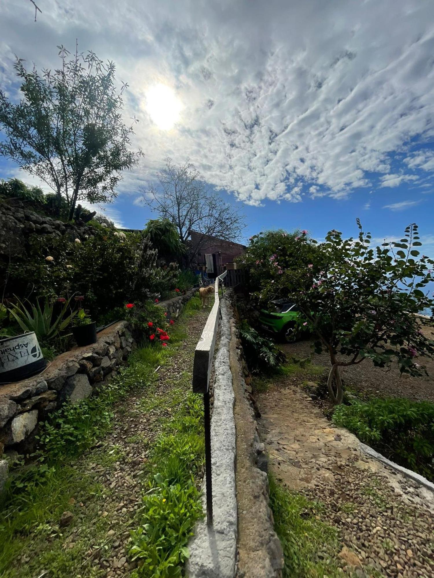 Abracaribes Bed & Breakfast Arecida Екстериор снимка