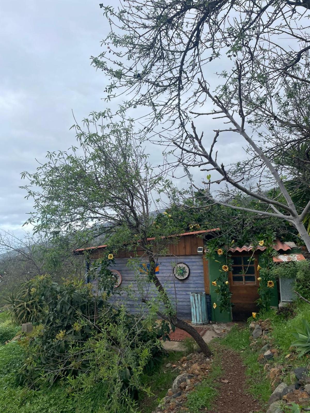 Abracaribes Bed & Breakfast Arecida Екстериор снимка